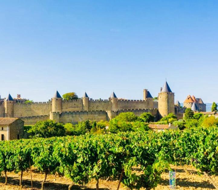 Ferienwohnung T2 Cocooning Vue Panoramique Cite Carcassonne Exterior foto